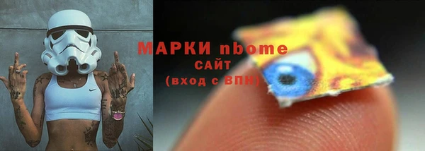 стаф Алексин