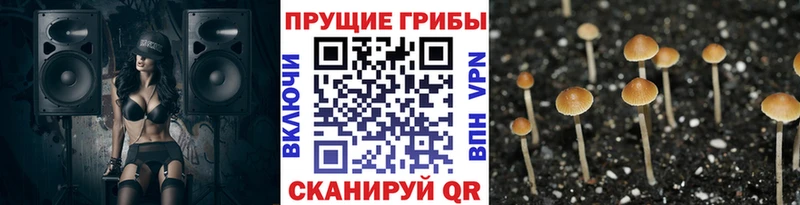 цена наркотик  MEGA маркетплейс  даркнет какой сайт  Циолковский  Псилоцибиновые грибы ЛСД 